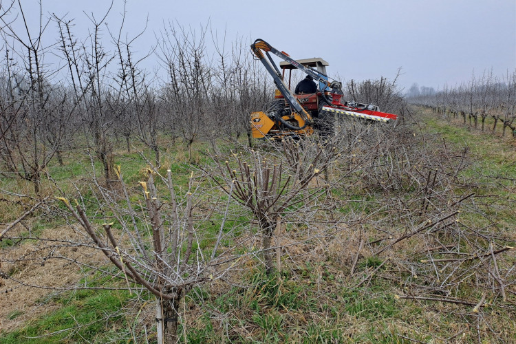 Barra di taglio per frutteti BT500L